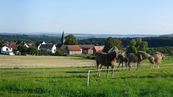 Himmelsberg