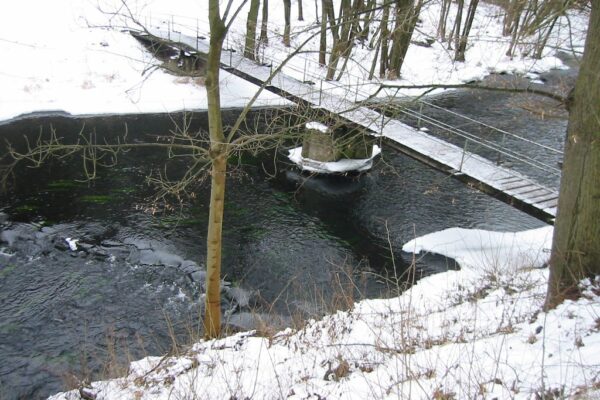 Die Krone am Fluss