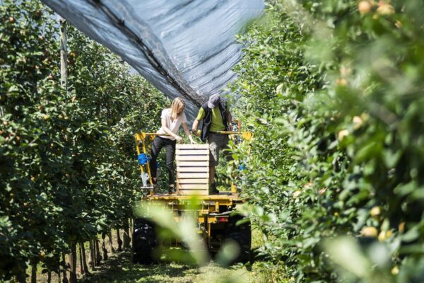 Feuer & Frucht – Eine genussvolle Tippelei rund um die Destillate