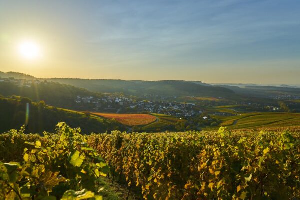 Goldener Herbst | vom Ernten und Genießen