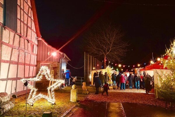 Weihnachtsmarkt in Zaisenhausen