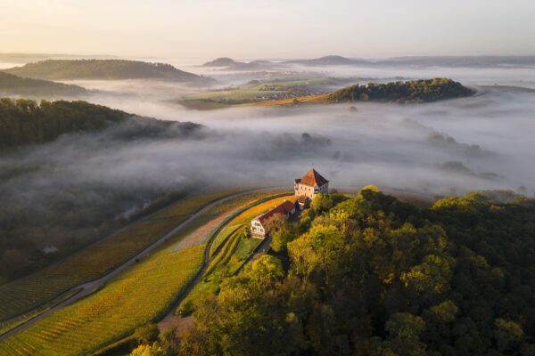 Weinbergrundfahrten | Planwagenfahrt Weingut Härle