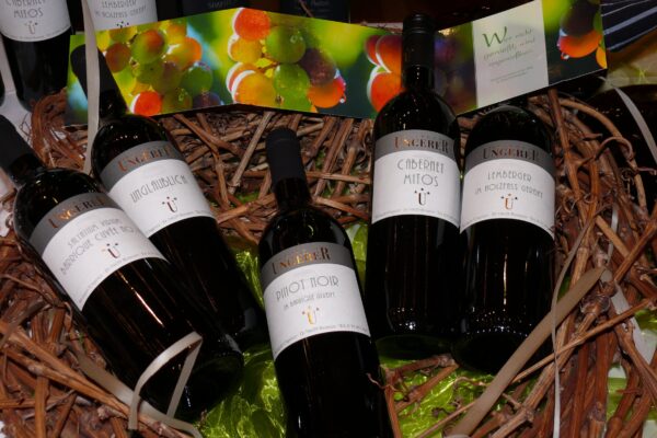 Weinprobiertage beim Weingut Ungerer