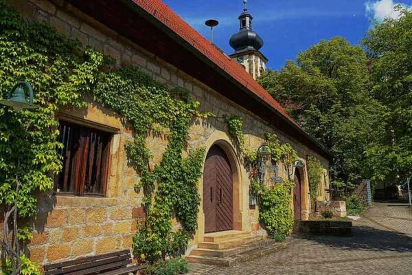 Winzerweine versus Discounterweine | Das große Blind Tasting im Weinbaumuseum
