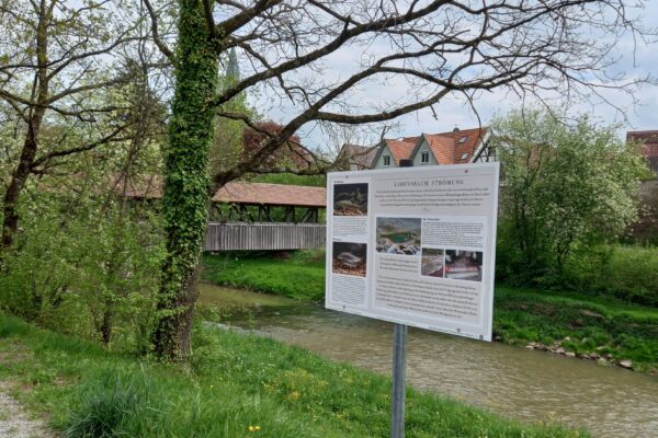 Führung auf dem Naturlehrpfad des Fischereivereins